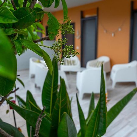 Paradiso Esotico Torre A Mare Εξωτερικό φωτογραφία