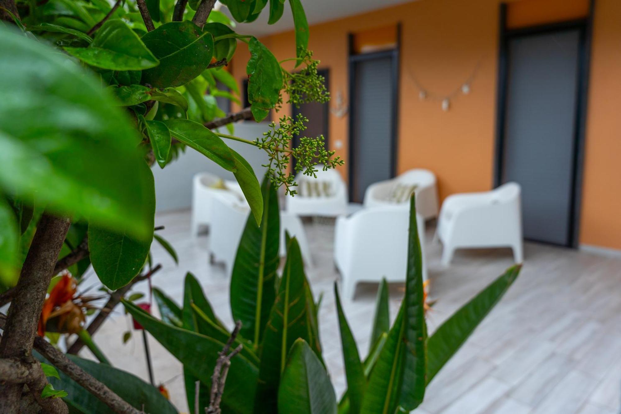 Paradiso Esotico Torre A Mare Εξωτερικό φωτογραφία